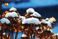 Spuren des Winters beseitigen