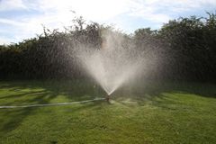 Tipps f&uuml;r den ersten Schnitt 2026