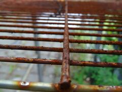 Rost auf dem Rost?