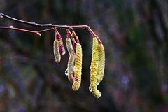 Saison legt nun richtig los!