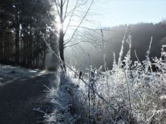 Achtung Vitamin-D-Mangel