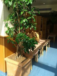 Zu trocken und zu warm