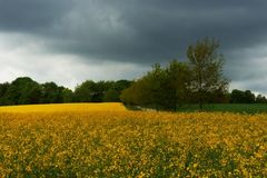 Zunächst noch vielerorts Wolken