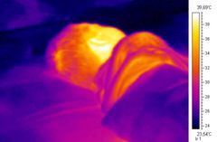 Fr&uuml;her Grippe-H&ouml;hepunkt erwartet