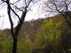 Mit Winterwetter ins neue Jahr?