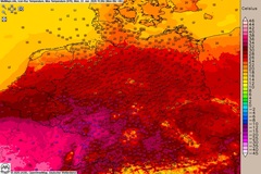 Hochsommerhitze mit lokalem Gewitterpotenzial