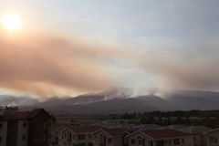 39 Grad und Hitzestress, der gef&auml;hrlich werden kann